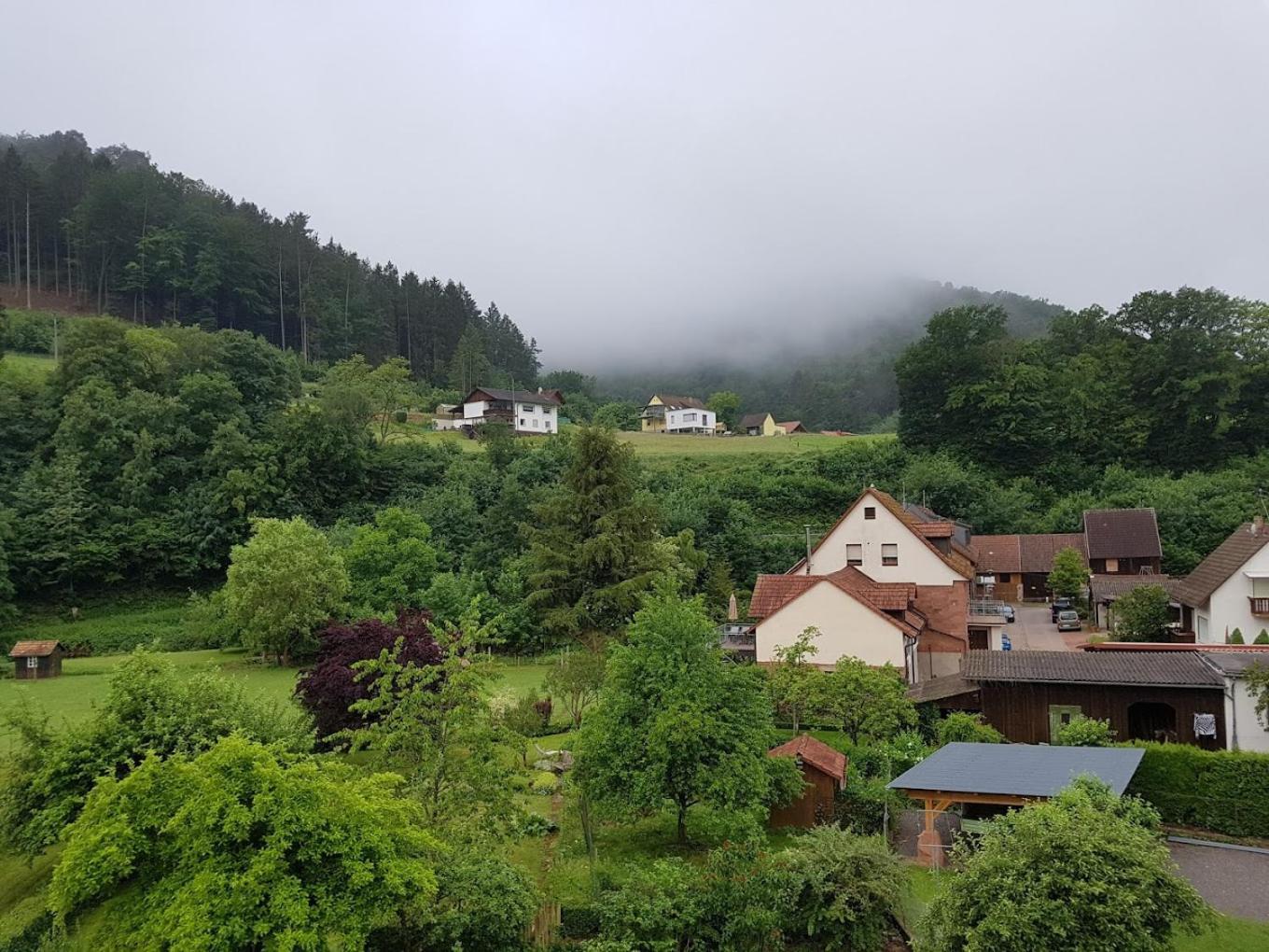 Landhotel Zur Wegelnburg Schönau 외부 사진